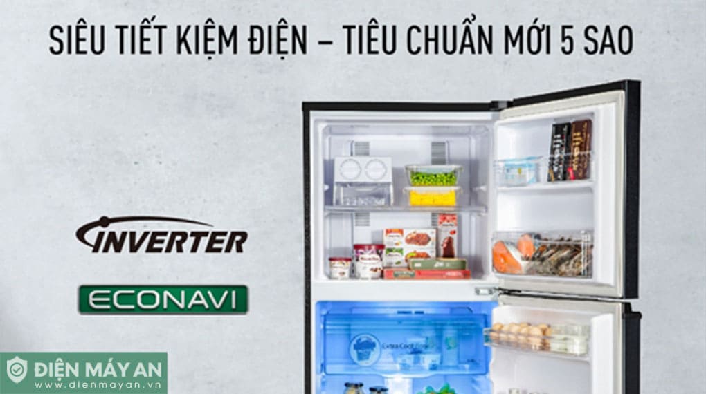 Tủ Lạnh Panasonic Inverter 268 Lít NR-TV301BPKV